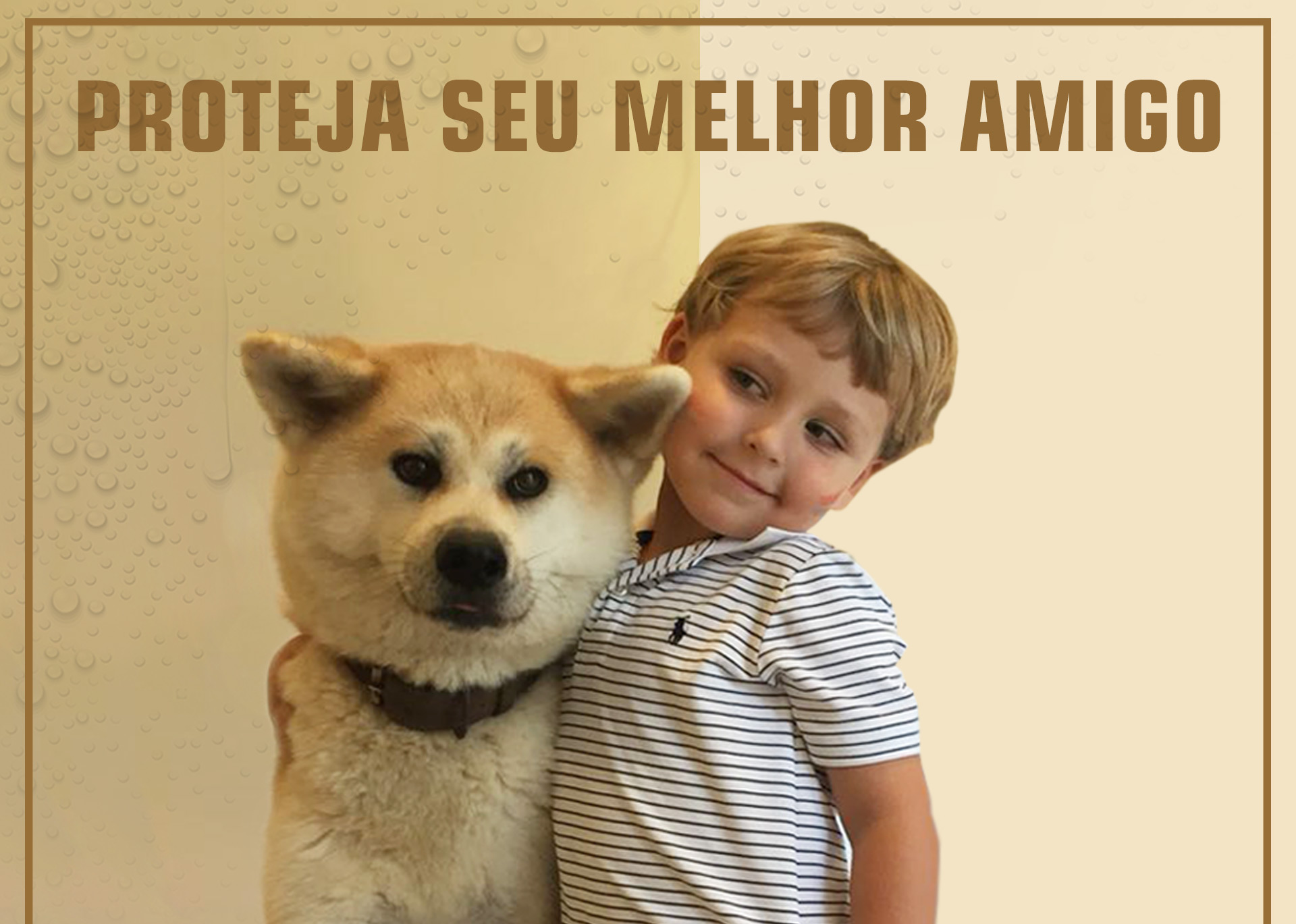 Imagem do blog
