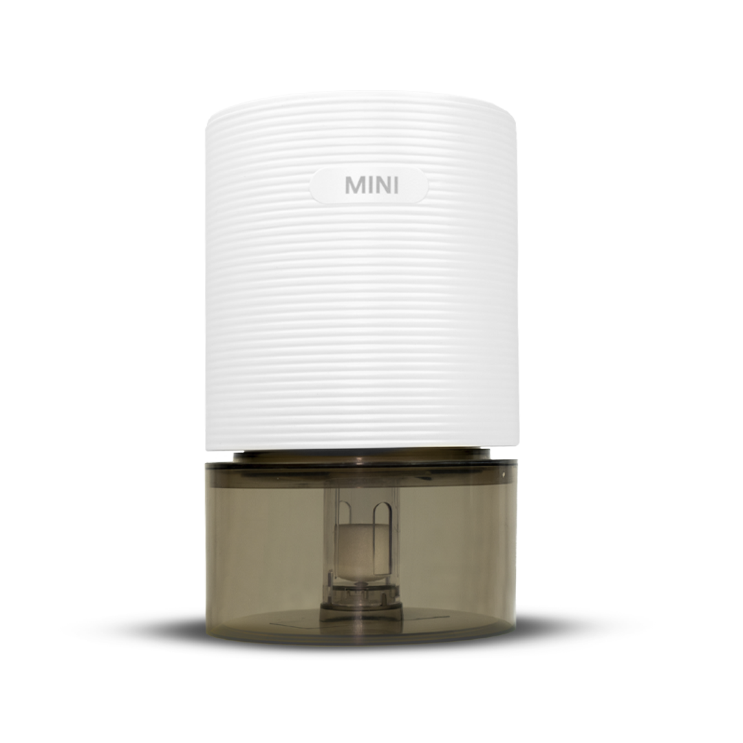 Mini_01